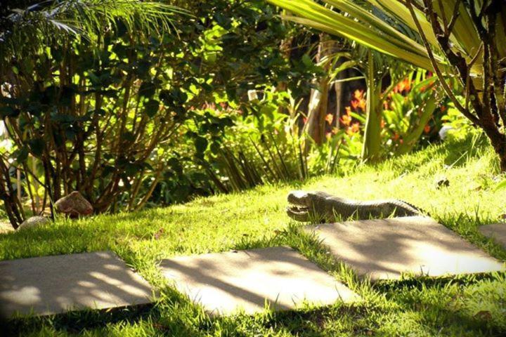 Pousada Recanto Primata Marechal Floriano Ngoại thất bức ảnh