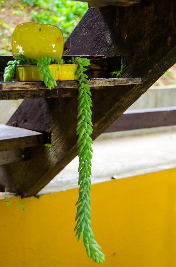 Pousada Recanto Primata Marechal Floriano Ngoại thất bức ảnh